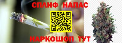 молекула духа Обь