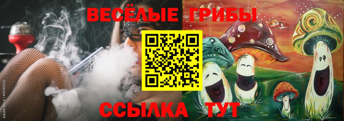 Ртищево  где найти наркотики  Вход с VPN  Псилоцибиновые грибы Magic Shrooms 